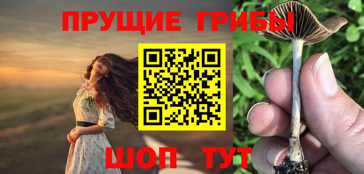 Псилоцибиновые грибы мухоморы  дарнет шоп  Димитровград  Вход с VPN 
